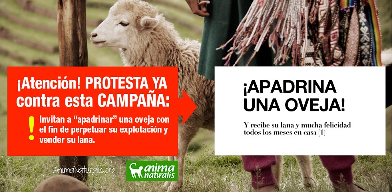 ¡Protesta! ¿Apadrinar una oveja comprando su lana? ¡Protesta! ¿Apadrinar una oveja comprando su lana?