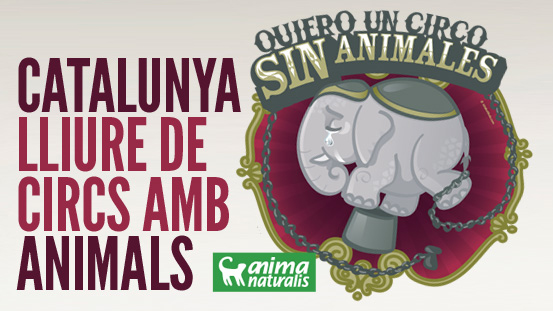 El Parlament cita a 22 expertos sobre el uso de animales en circos El Parlament cita a 22 expertos sobre el uso de animales en circos