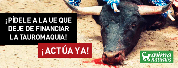 AnimaNaturalis lanza SpainIsPain y pide a la UE poner fin a las subvenciones taurinas. ¡Actúa ahora! AnimaNaturalis lanza SpainIsPain y pide a la UE poner fin a las subvenciones taurinas. ¡Actúa ahora!