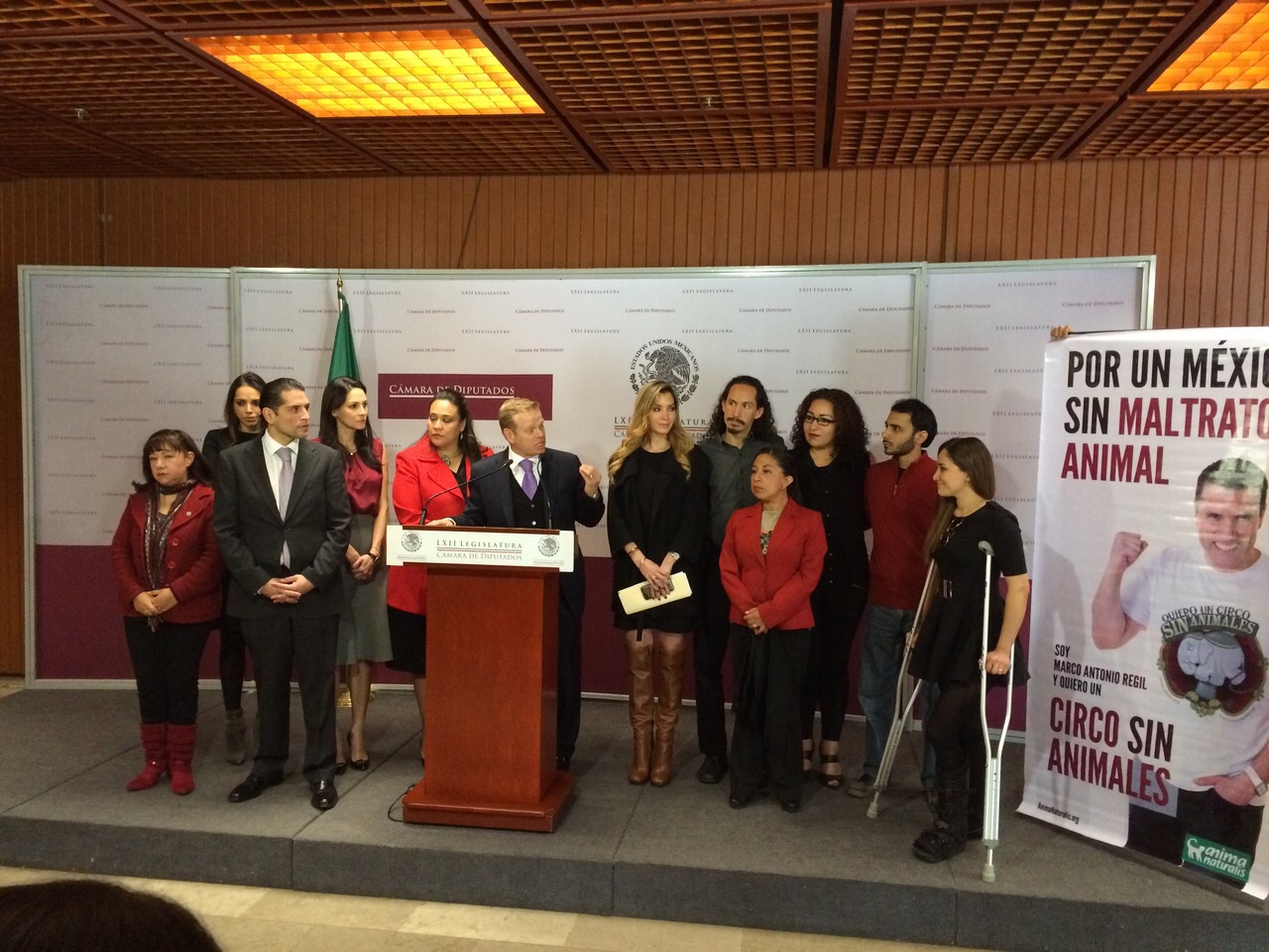 ¡México prohíbe el uso de animales en circos! ¡México prohíbe el uso de animales en circos!
