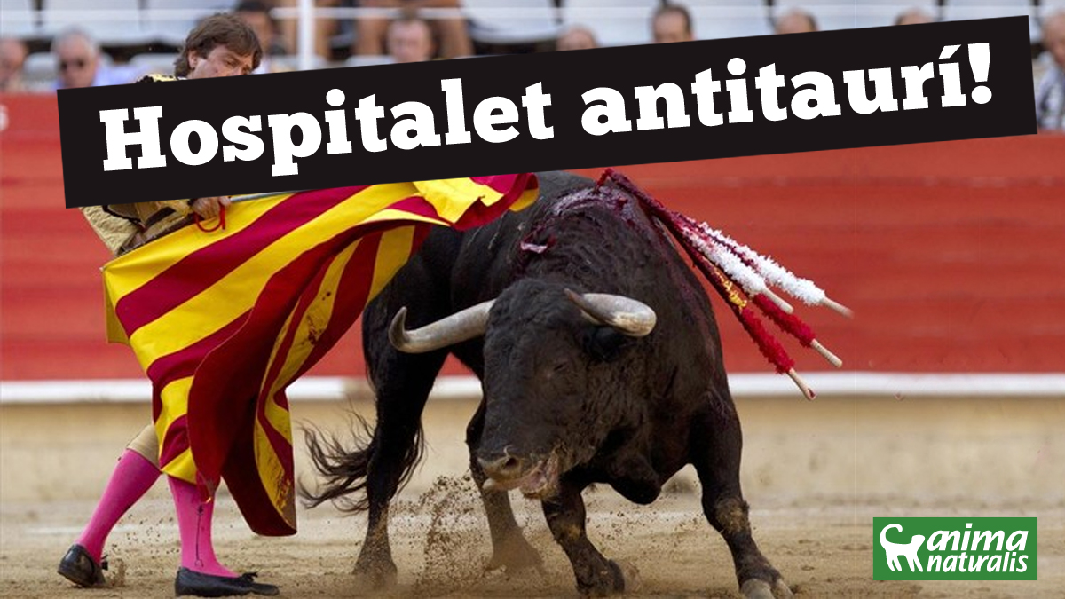 ¡Firma para que Hospitalet de Llobregat se declare municipio antitaurino! ¡Firma para que Hospitalet de Llobregat se declare municipio antitaurino!