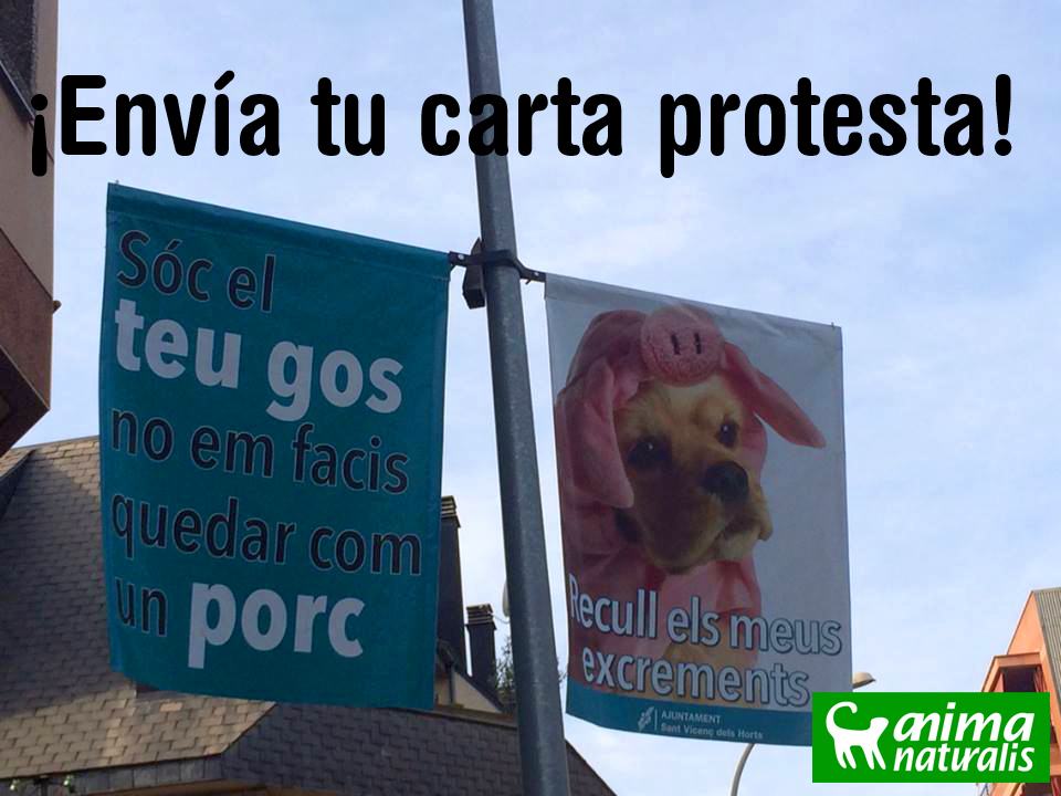 Envía tu carta protesta al Ayto de Sant Vicenç dels Horts Envía tu carta protesta al Ayto de Sant Vicenç dels Horts