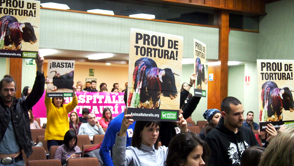 El PSC impide que Hospitalet se declare municipio antitaurino. El PSC impide que Hospitalet se declare municipio antitaurino.