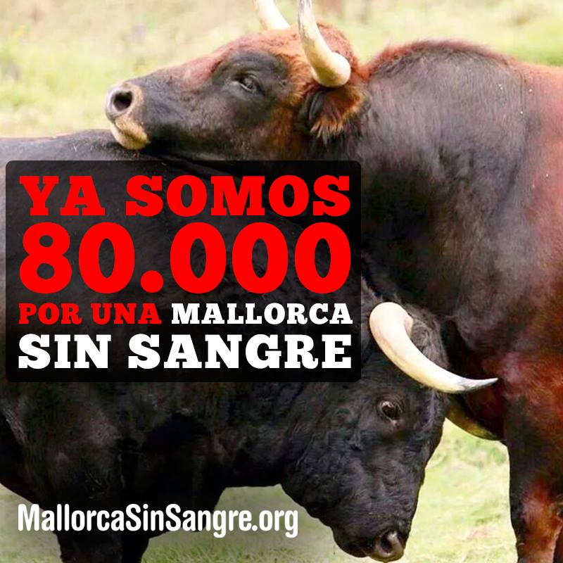 Más de 80.000 firmas contra la tauromaquia en Mallorca Más de 80.000 firmas contra la tauromaquia en Mallorca