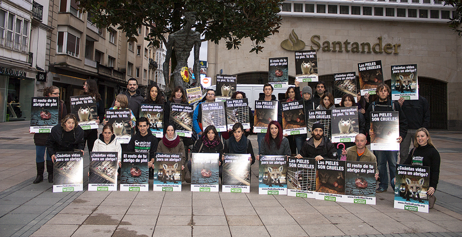 AnimaNaturalis realizó su primera concentración contra las pieles en Vitoria AnimaNaturalis realizó su primera concentración contra las pieles en Vitoria