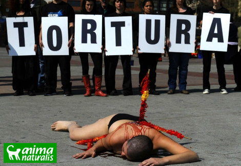 PP y PI no permiten que Banyalbufar sea antitaurino PP y PI no permiten que Banyalbufar sea antitaurino
