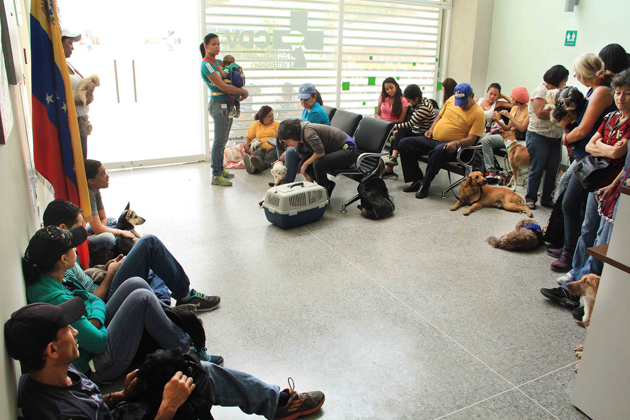 Venezuela instalará 10 centros populares de atención veterinaria en diferentes regiones Venezuela instalará 10 centros populares de atención veterinaria en diferentes regiones