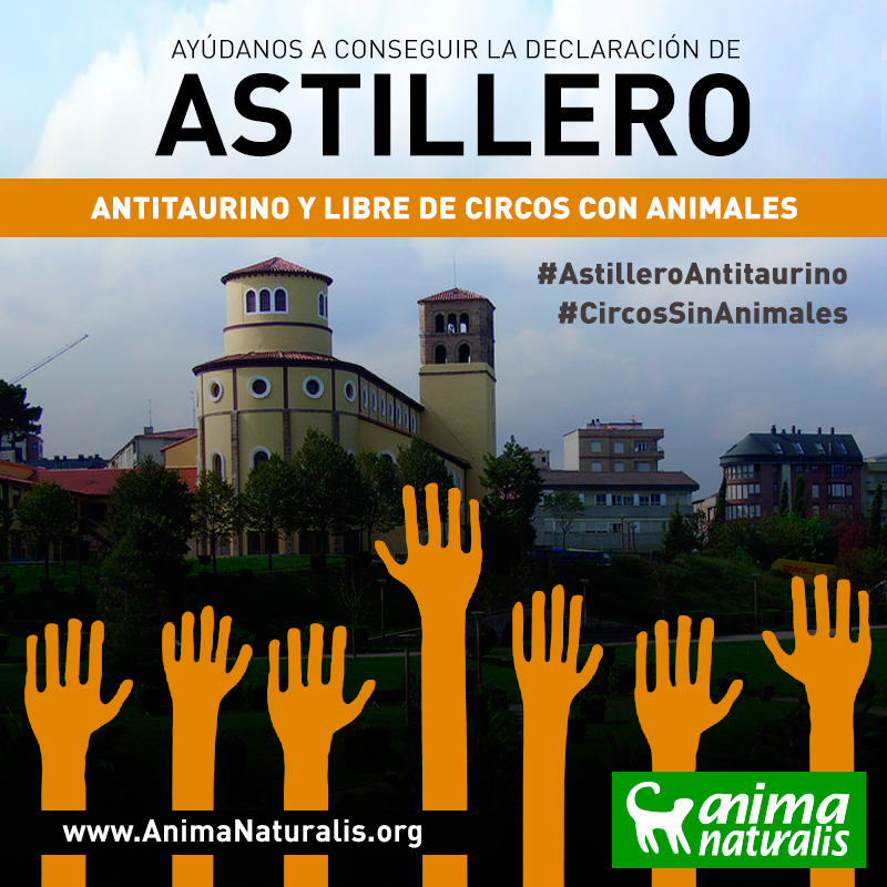 ¡Ayúdanos a que Astillero apruebe mociones para los animales! ¡Ayúdanos a que Astillero apruebe mociones para los animales!