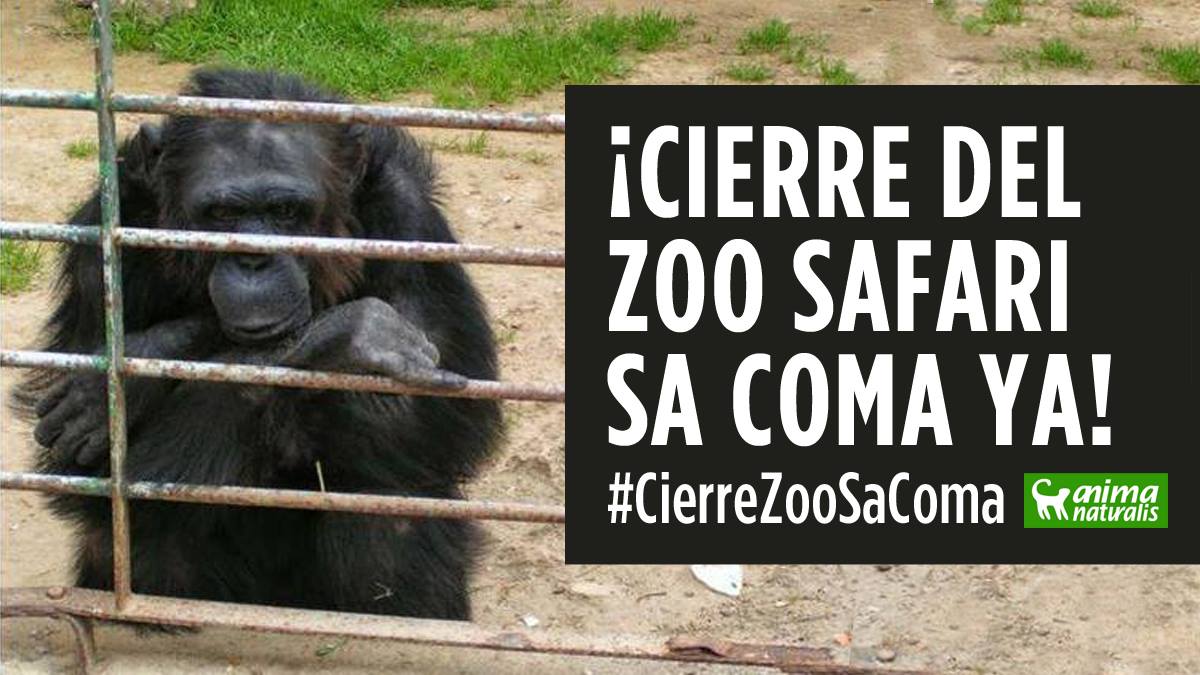 AnimaNaturalis exige medidas urgentes contra el Safari Zoo de sa Coma AnimaNaturalis exige medidas urgentes contra el Safari Zoo de sa Coma