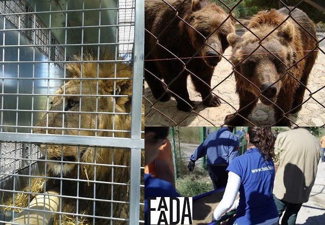 Aqualeon dejará de tener animales Aqualeon dejará de tener animales