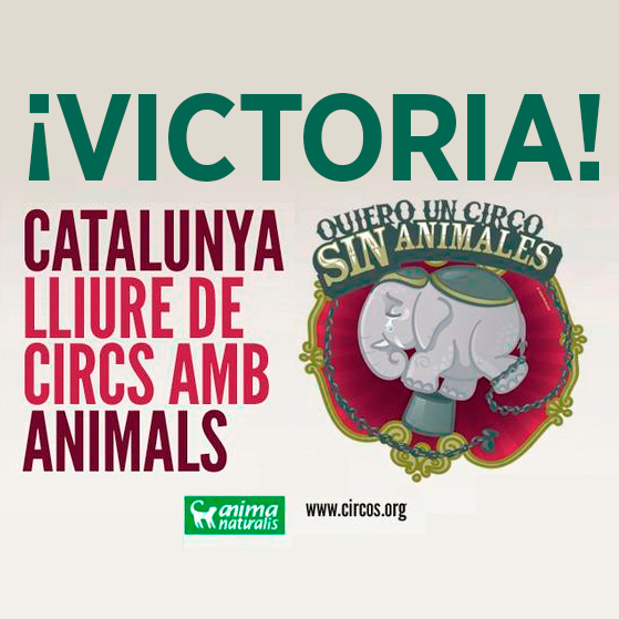 Histórico: Cataluña prohibe el uso de animales salvajes en circos Histórico: Cataluña prohibe el uso de animales salvajes en circos