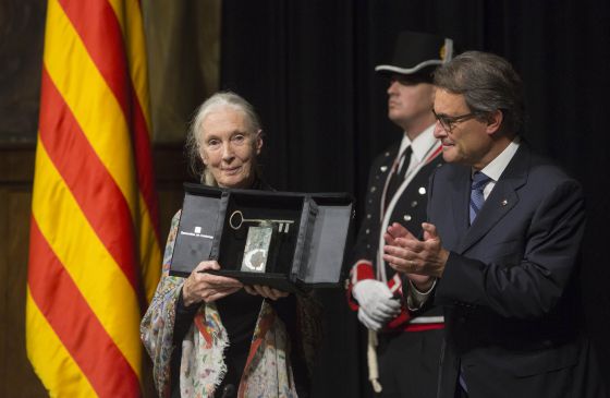 La primatóloga Jane Goodall recibe el Premi Internacional de Catalunya La primatóloga Jane Goodall recibe el Premi Internacional de Catalunya