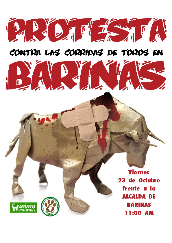 Contra las corridas de toros en Barinas Contra las corridas de toros en Barinas