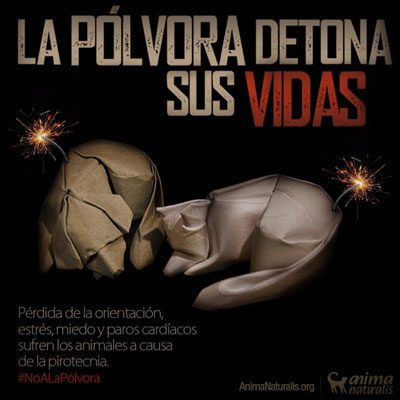 AnimaNaturalis propone más luz y menos pirotecnia AnimaNaturalis propone más luz y menos pirotecnia