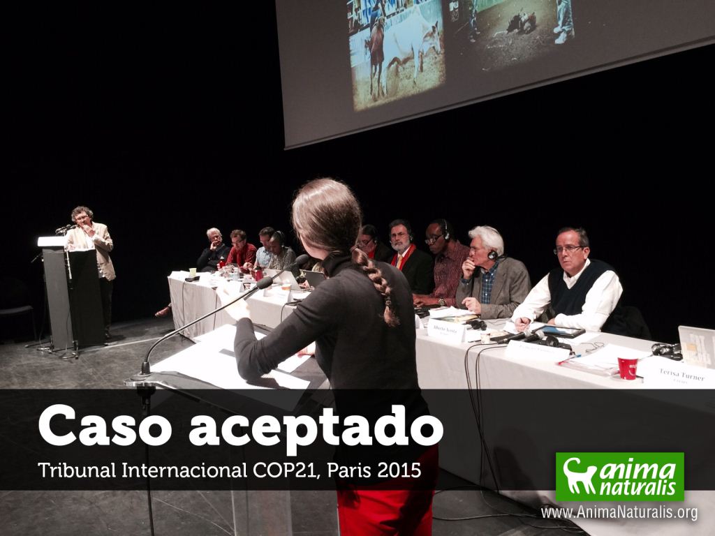 Tribunal Internacional COP21 acepta caso de crueldad en corralejas colombianas Tribunal Internacional COP21 acepta caso de crueldad en corralejas colombianas