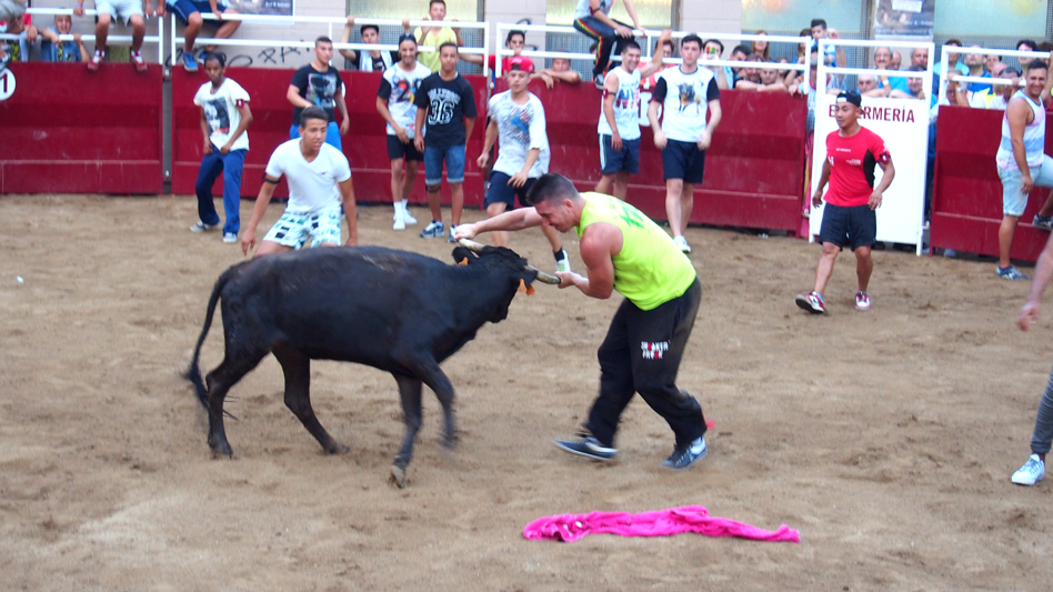 ¡Lo logramos! ¡Fin de los 'correbous' en Badalona! ¡Lo logramos! ¡Fin de los 'correbous' en Badalona!