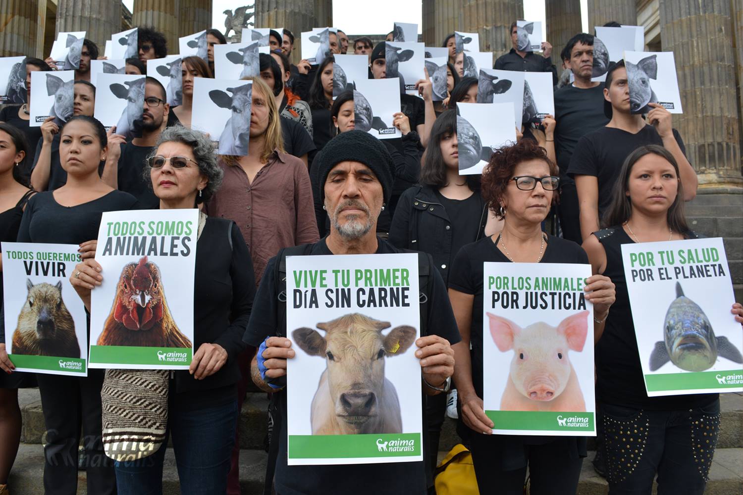 Conmemoramos con éxito el ‘Día mundial sin carne’ Conmemoramos con éxito el ‘Día mundial sin carne’