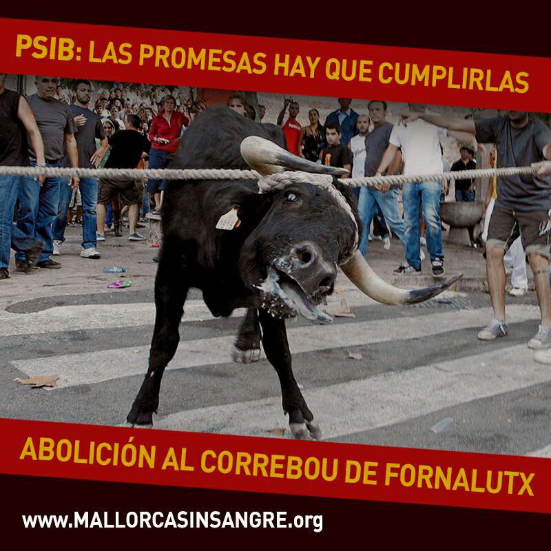 350.000 personas piden a los socialistas la abolición del correbou de Fornalutx 350.000 personas piden a los socialistas la abolición del correbou de Fornalutx