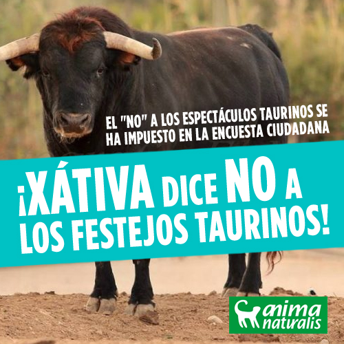 ¡Xàtiva dice NO a los toros en consulta ciudadana! ¡Xàtiva dice NO a los toros en consulta ciudadana!
