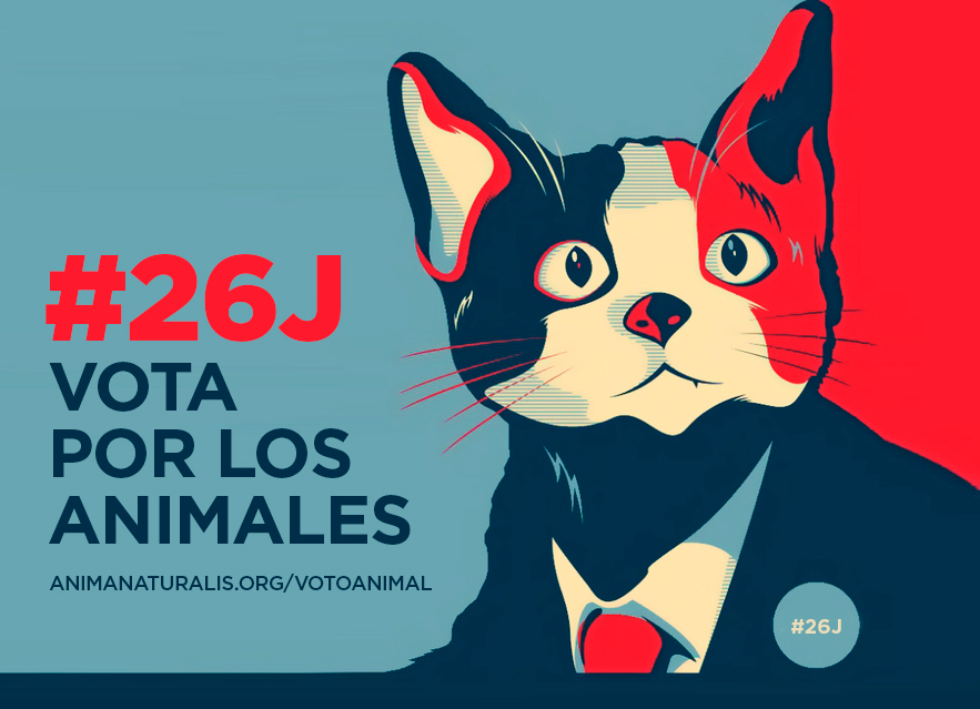 ¿A quién votar el 26J? ¿A quién votar el 26J?