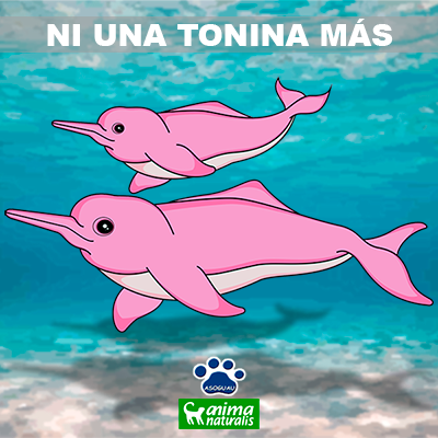 ¡Ni una tonina más! ¡Ni una tonina más!