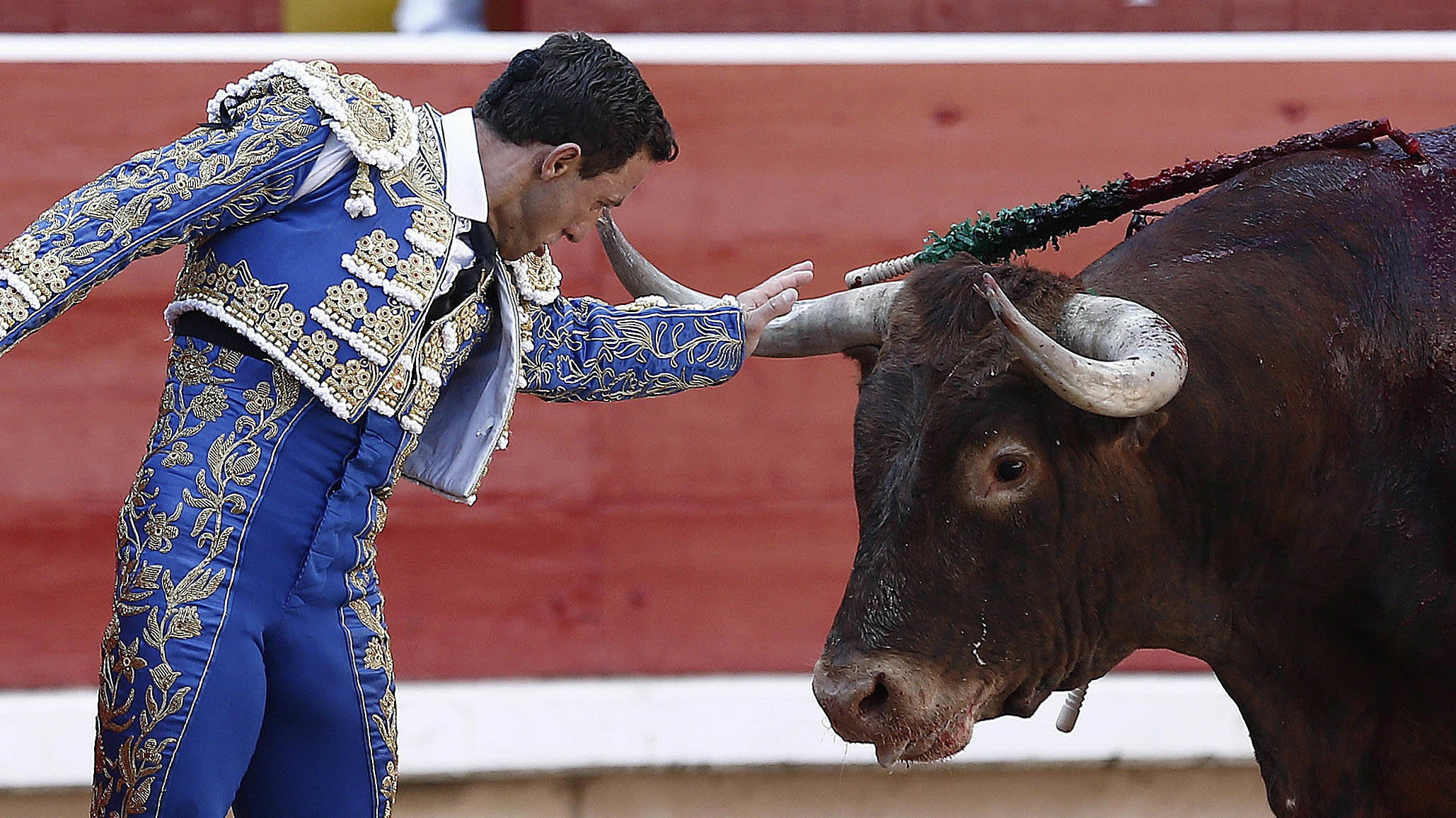 Abolición de la tauromaquia Abolición de la tauromaquia