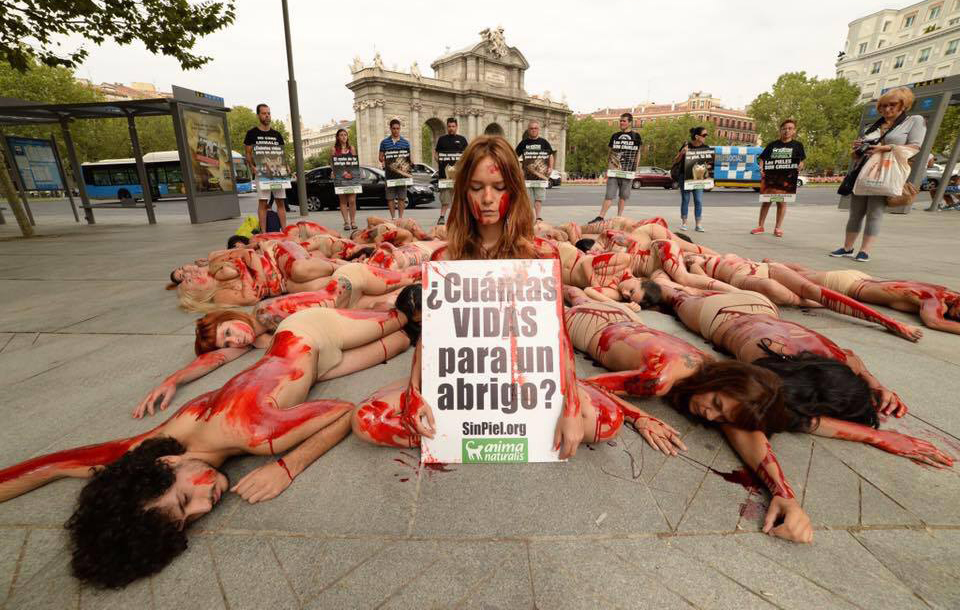 Animanaturalis απαιτεί ένα τέλος στη βιομηχανία γούνας στη Μαδρίτη