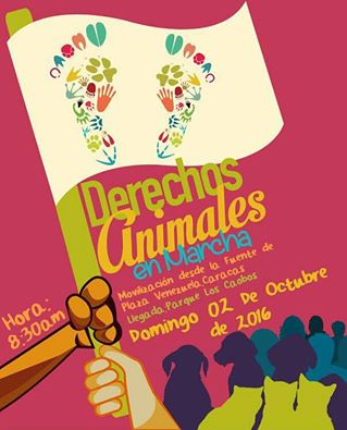 Caracas en marcha por los animales Caracas en marcha por los animales