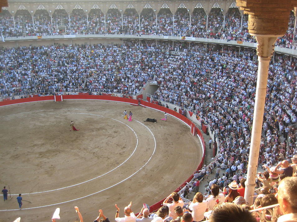 El Tribunal Constitucional español pretende obligar a Cataluña a torturar animales El Tribunal Constitucional español pretende obligar a Cataluña a torturar animales