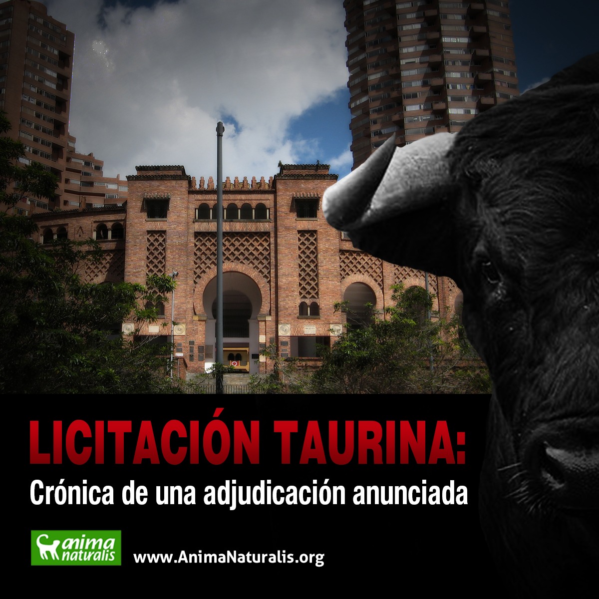Licitación taurina: Crónica de una adjudicación anunciada Licitación taurina: Crónica de una adjudicación anunciada