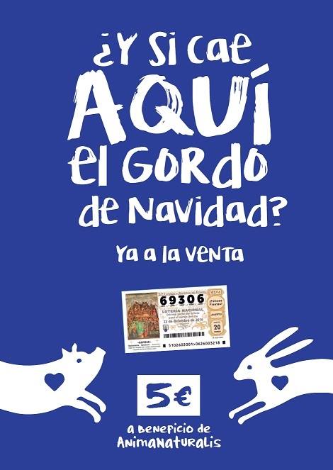 Lotería de Navidad: ¡Pide un deseo por los animales! Lotería de Navidad: ¡Pide un deseo por los animales!