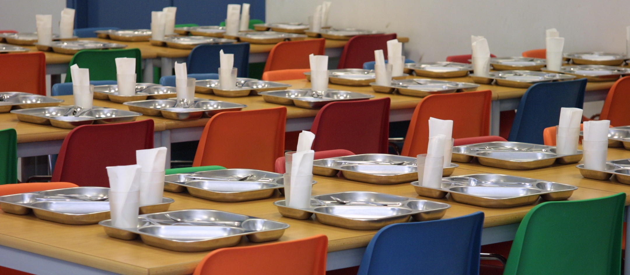 Menú vegetariano en las escuelas Menú vegetariano en las escuelas