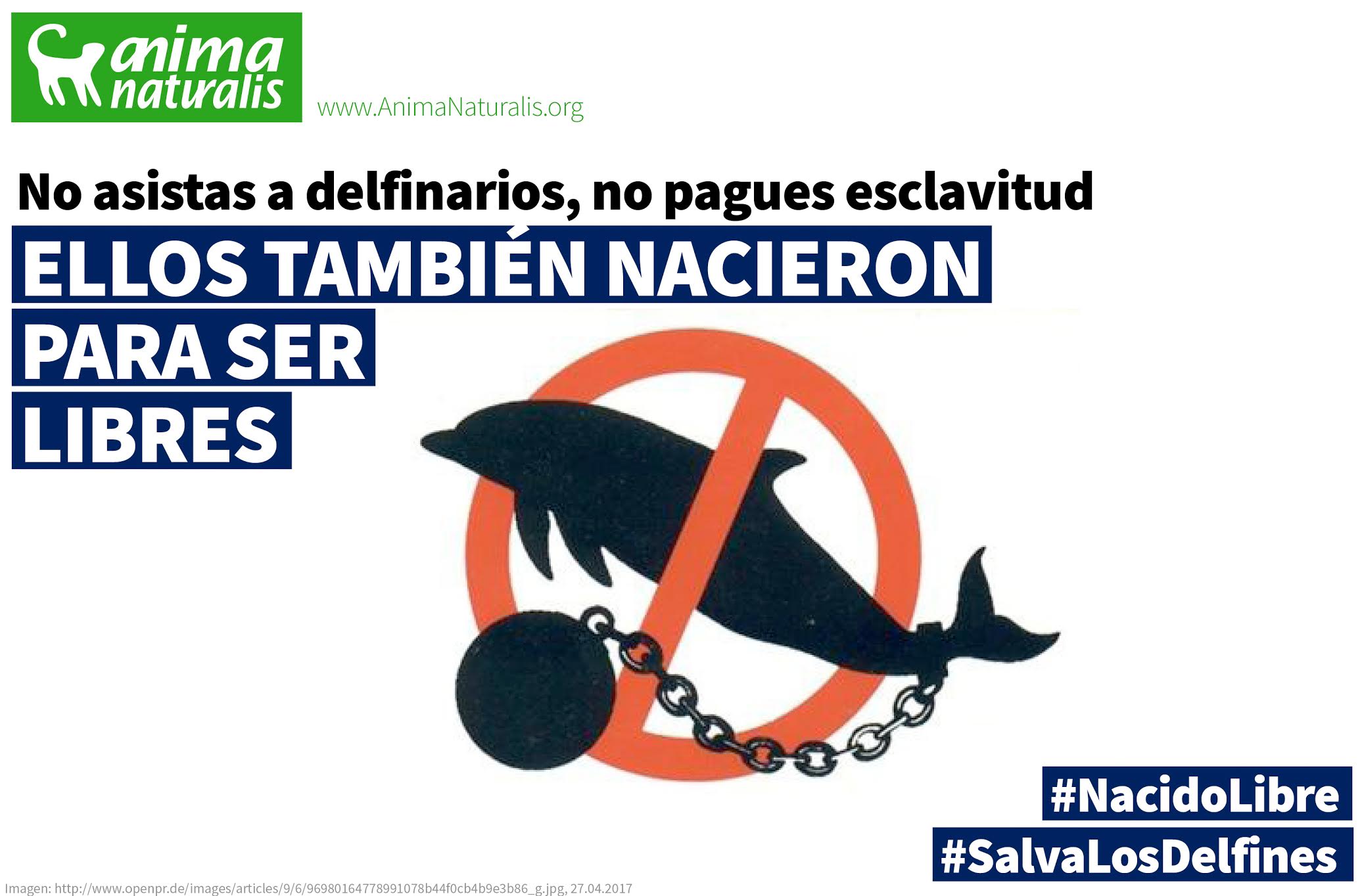 Aprueban prohibir los delfinarios en México... ¡En 2067 o más tarde! Aprueban prohibir los delfinarios en México... ¡En 2067 o más tarde!