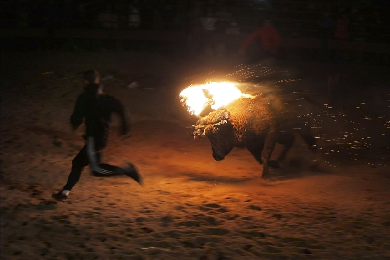 El horror de fuego El horror de fuego