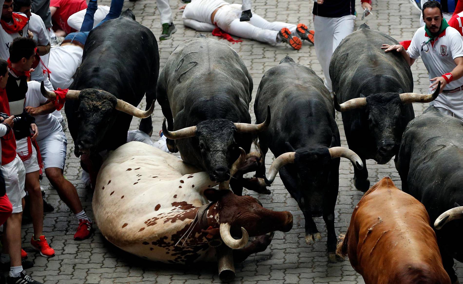 Contra los 'sanfermines' Contra los 'sanfermines'