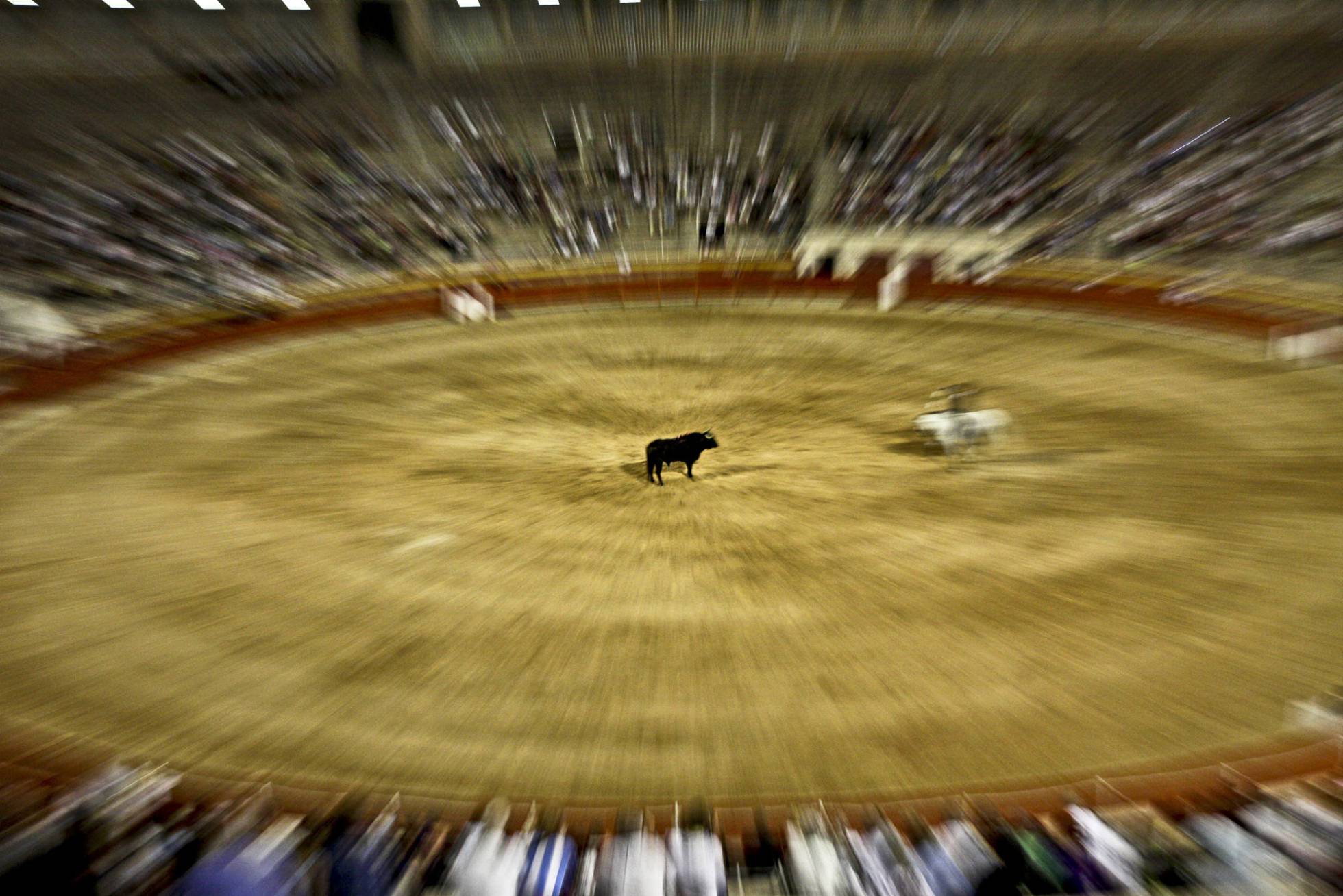 Baleares aprueba las corridas de toros sin sangre ni muerte Baleares aprueba las corridas de toros sin sangre ni muerte