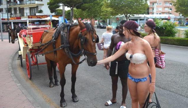 Muere un caballo desbocado tras asustarse, echar a correr y golpearse contra un muro Muere un caballo desbocado tras asustarse, echar a correr y golpearse contra un muro