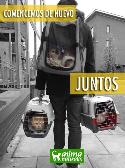 ¡Comencemos de nuevo, juntos! ¡Comencemos de nuevo, juntos!