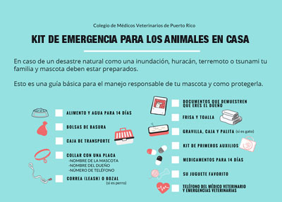 El huracán se acerca ¿Tienes plan de contingencia para tus compañeros animales? El huracán se acerca ¿Tienes plan de contingencia para tus compañeros animales?