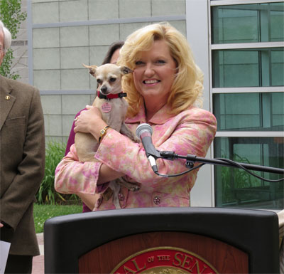 California prohíbe venta de animales en tiendas de "mascotas" California prohíbe venta de animales en tiendas de "mascotas"