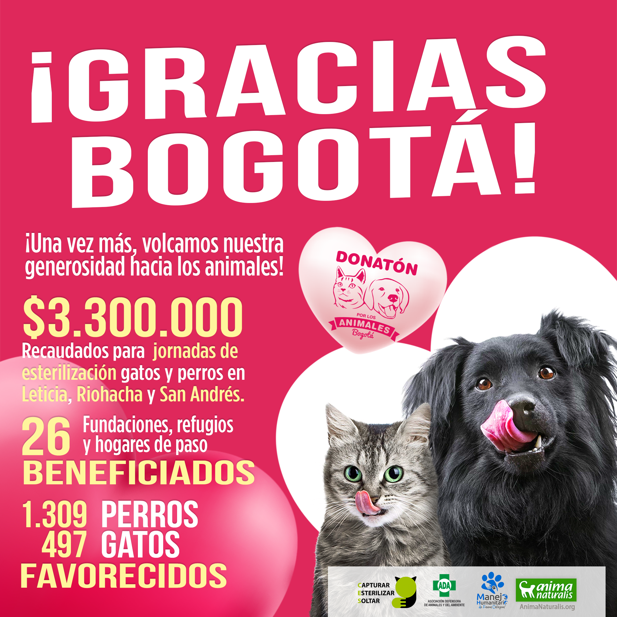 ¡Gracias Bogotá! 1.309 perros y 497 gatos serán beneficiados con Donatón ¡Gracias Bogotá! 1.309 perros y 497 gatos serán beneficiados con Donatón