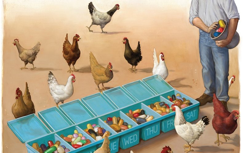 Big Chicken o cómo la apetencia de carne barata pone en peligro nuestra existencia Big Chicken o cómo la apetencia de carne barata pone en peligro nuestra existencia