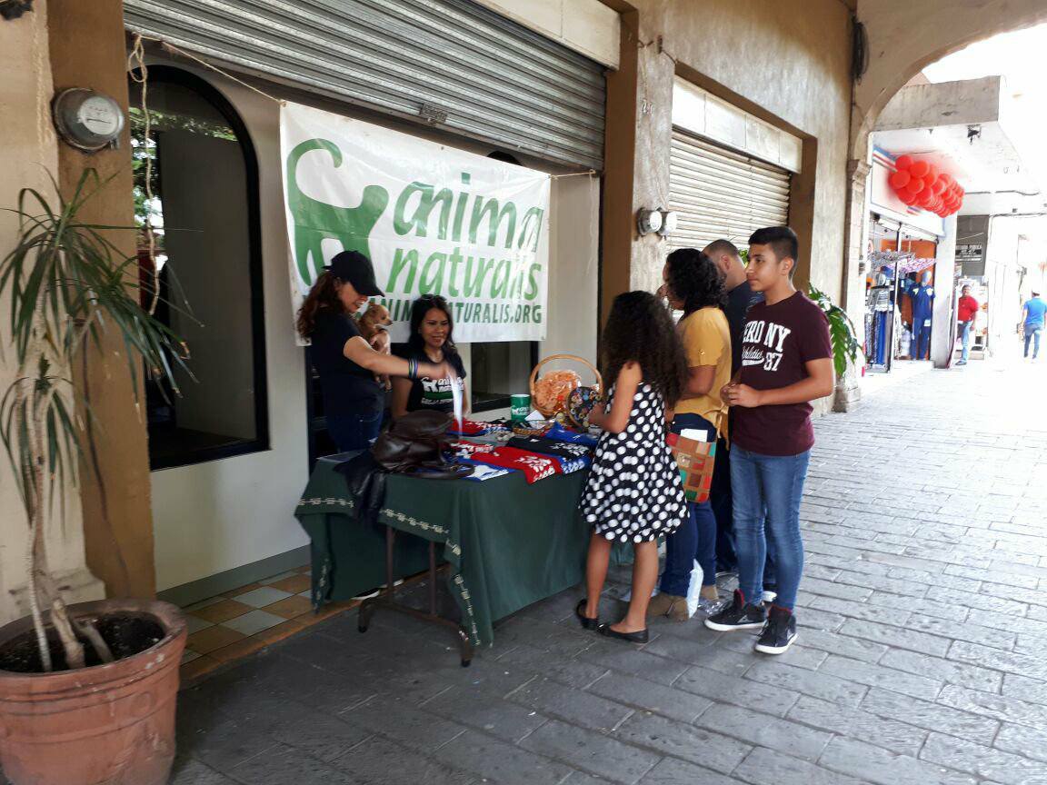 AnimaNaturalis realiza campaña de esterilización en Michoacán AnimaNaturalis realiza campaña de esterilización en Michoacán