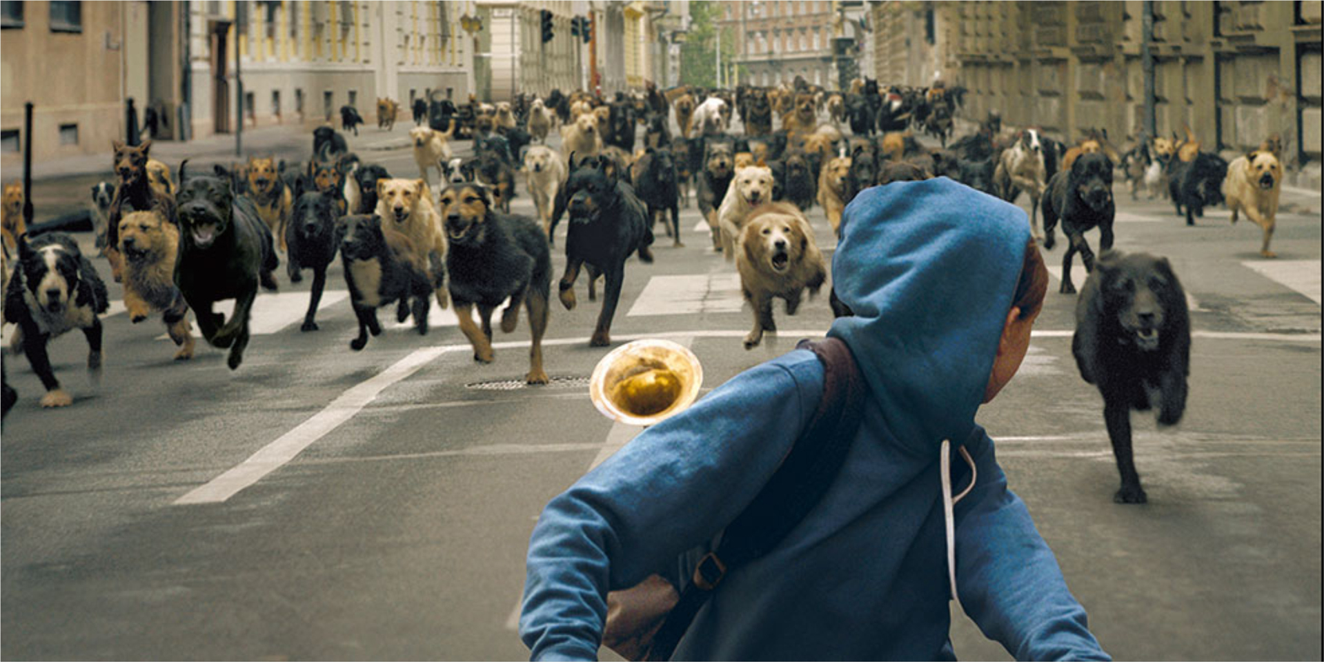 15 de mis películas favoritas para amantes de los animales 15 de mis películas favoritas para amantes de los animales