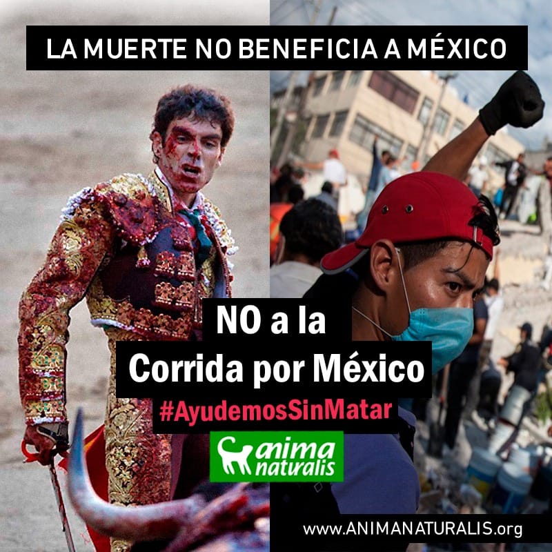 Ayudemos sin matar: No a la “Corrida Por México” Ayudemos sin matar: No a la “Corrida Por México”