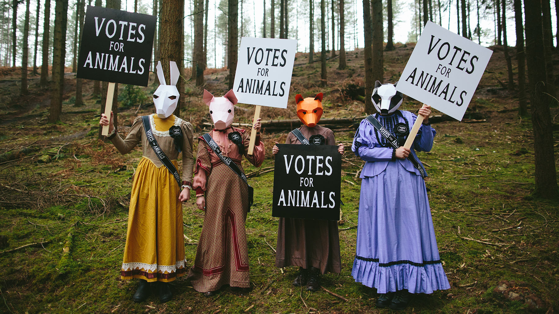 Votar por los animales este 21D Votar por los animales este 21D