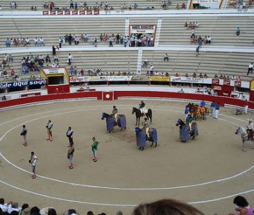 ¿Llegó el fin de las corridas de toros en Maracaibo? ¿Llegó el fin de las corridas de toros en Maracaibo?