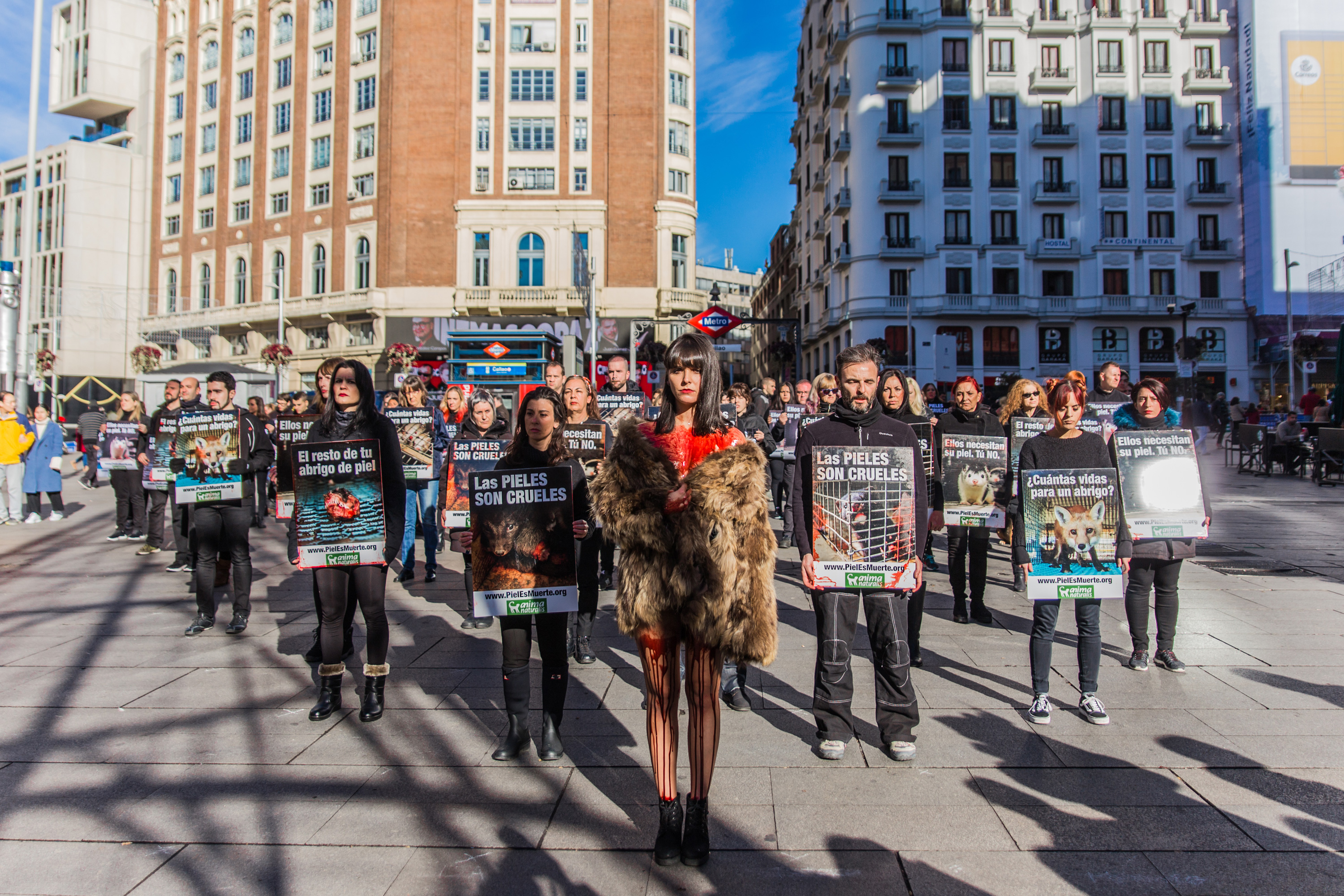 AnimaNaturalis se toma Callao para exigir el fin del uso de pieles de animales AnimaNaturalis se toma Callao para exigir el fin del uso de pieles de animales