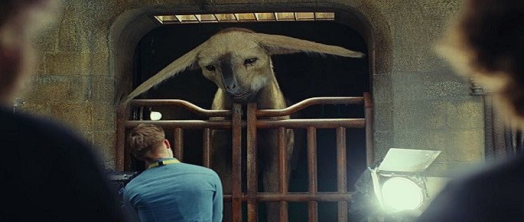 El lado animalista de la fuerza El lado animalista de la fuerza