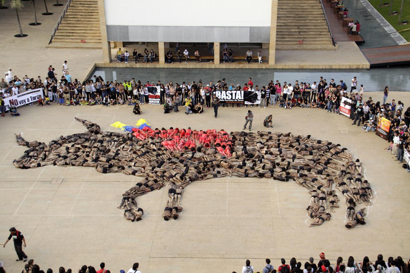 AnimaNaturalis realiza impactante acto masivo contra la tauromaquia en Colombia AnimaNaturalis realiza impactante acto masivo contra la tauromaquia en Colombia